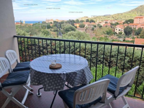 5AMB3- Appartement duplex dans une résidence avec piscine et parking